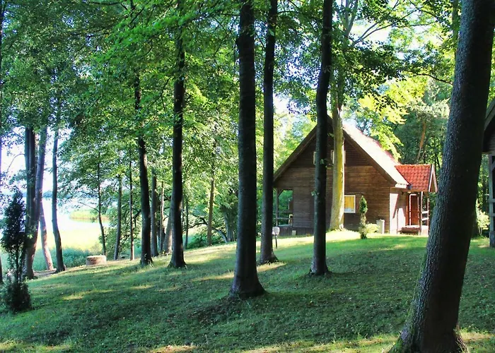 Wyspa Brzozowa * Kretowiny